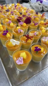 Mango Panna Cotta