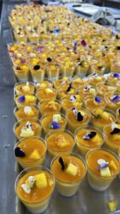 Mango panna cotta